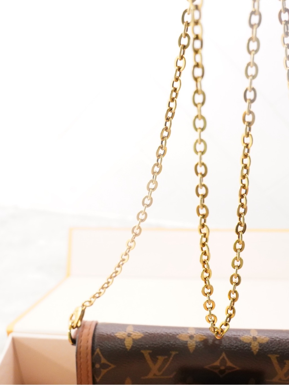 Louis Vuitton Dauphine Reverse Monogram with Gold Hardware/Chain - Picture 16 of 16